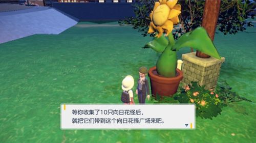 寶可夢朱紫向日花怪具體位置一覽