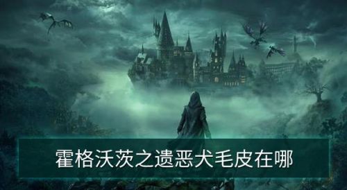 霍格華茲的傳承|遺惡犬毛皮位置一覽