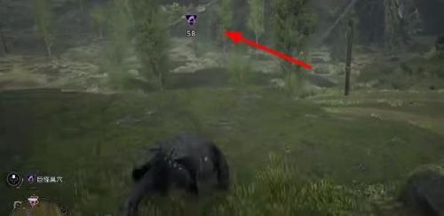 霍格華茲的傳承|巨怪鼻涕位置攻略一覽