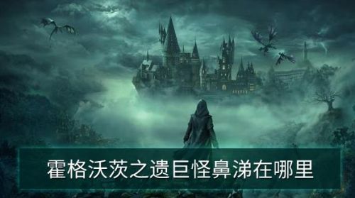 霍格華茲的傳承|巨怪鼻涕位置攻略一覽