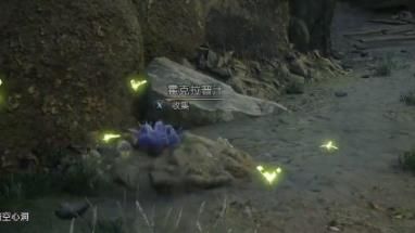 霍格華茲的傳承|草蛉蟲位置攻略一覽