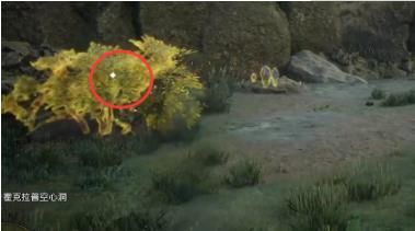 霍格華茲的傳承|草蛉蟲位置攻略一覽