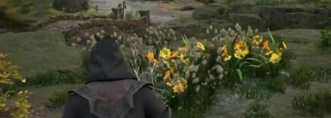 霍格華茲的傳承|草蛉蟲位置攻略一覽