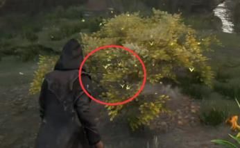 霍格華茲的傳承|草蛉蟲位置攻略一覽