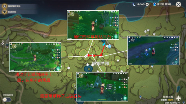 原神3.6帕蒂沙蘭最全收集路線一覽