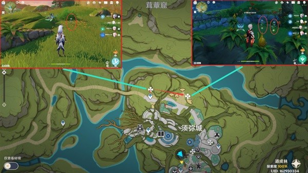 原神3.6帕蒂莎蘭采集線路一覽