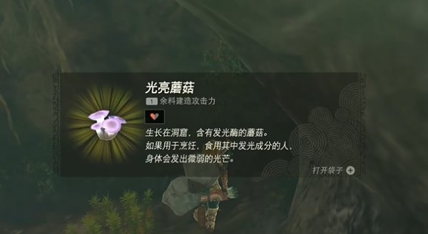薩爾達傳說王國之淚|撒哈斯拉平原鳥望台開啟方法