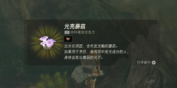 薩爾達傳說王國之淚|鳥望台采蘑菇完成攻略