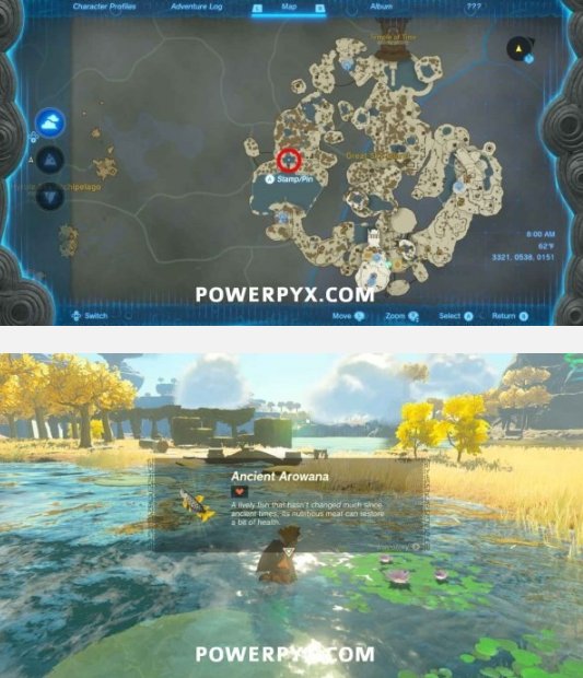 薩爾達傳說王國之淚|遠昔骨舌魚位置一覽