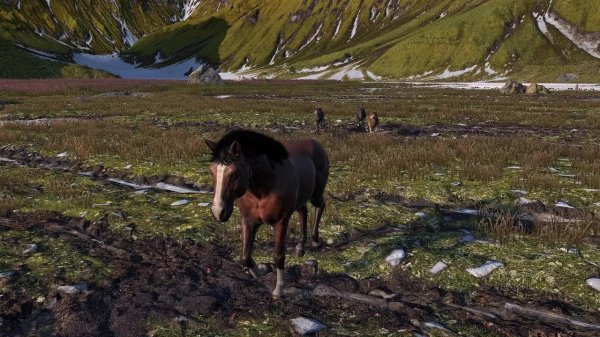 馬兒模擬體驗遊戲《Horse Life 馬生活》將於 Steam 近期推出