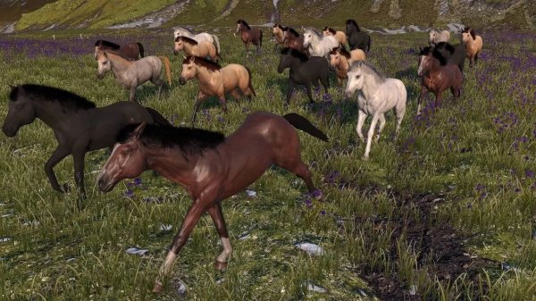 馬兒模擬體驗遊戲《Horse Life 馬生活》將於 Steam 近期推出