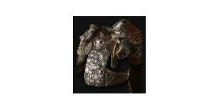 暗黑破壞神4|德魯伊暗金裝備詞綴圖鑒一覽