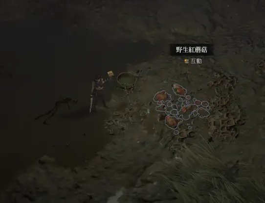 暗黑破壞神4|紅色蘑菇位置一覽