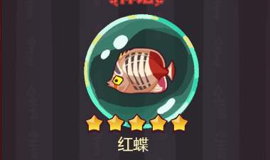 鹹魚之王魚靈重要知識點|快速升星技巧