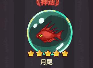 鹹魚之王魚靈重要知識點|快速升星技巧