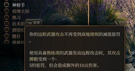 柏德之門3|盜賊雙手弩射爆流bd分享