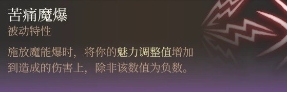 柏德之門3|邪術師魔能爆BD分享