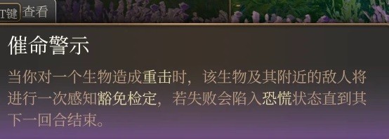 柏德之門3|邪術師魔能爆BD分享