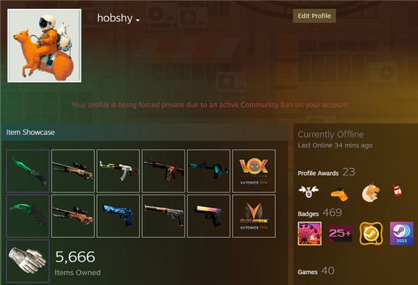 CSGO皮膚“複制品”再現?Steam客服再鬧烏龍