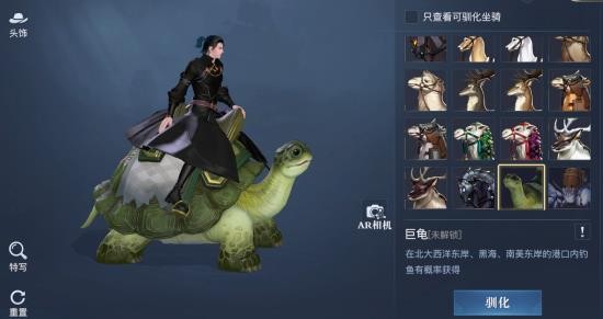 黎明之海坐騎巨龜獲取攻略