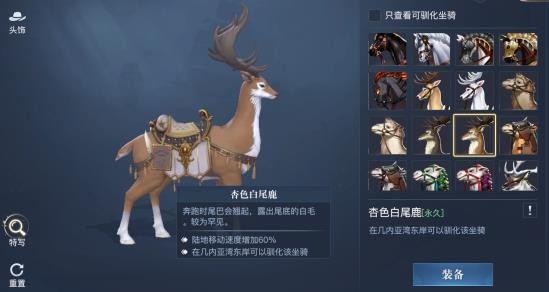 黎明之海杏色白尾鹿坐騎獲取攻略
