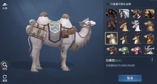 黎明之海白峰駝坐騎獲取攻略