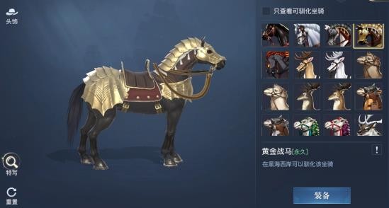 黎明之海黃金戰馬坐騎獲取攻略