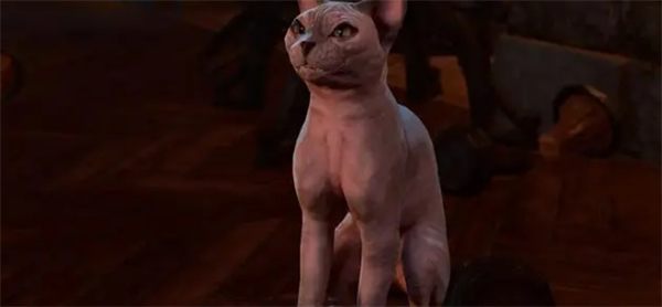 《柏德之門3》新熱修補丁上線 響應玩家抗議恢復光溜溜人氣貓