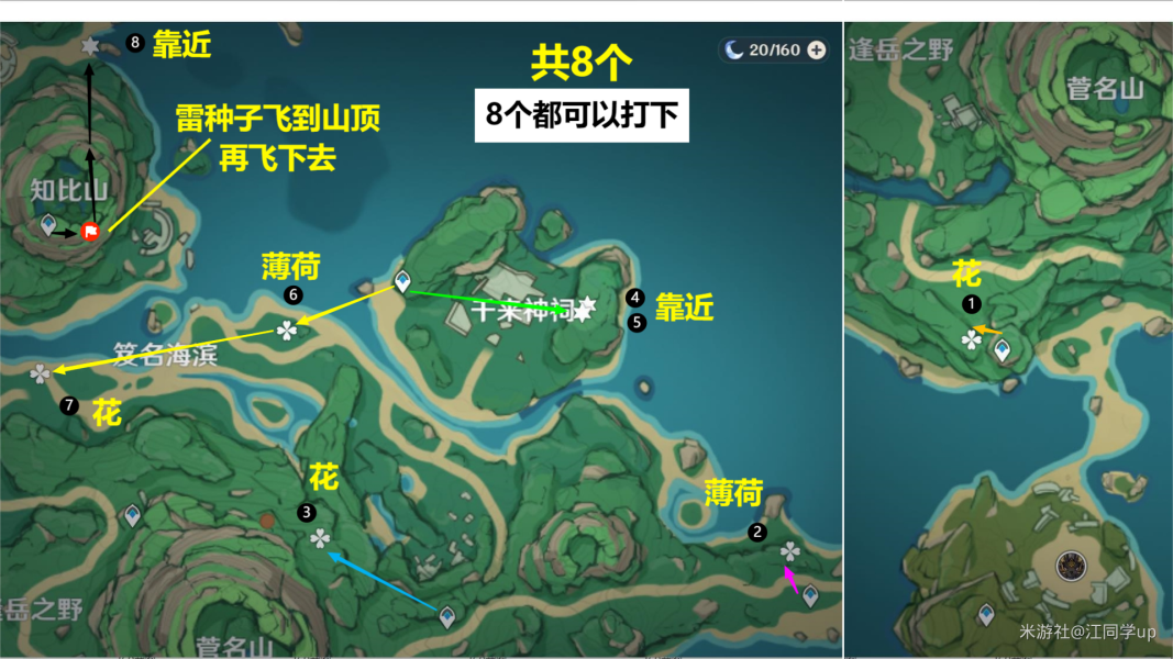 原神騙騙花最新採集路線匯總