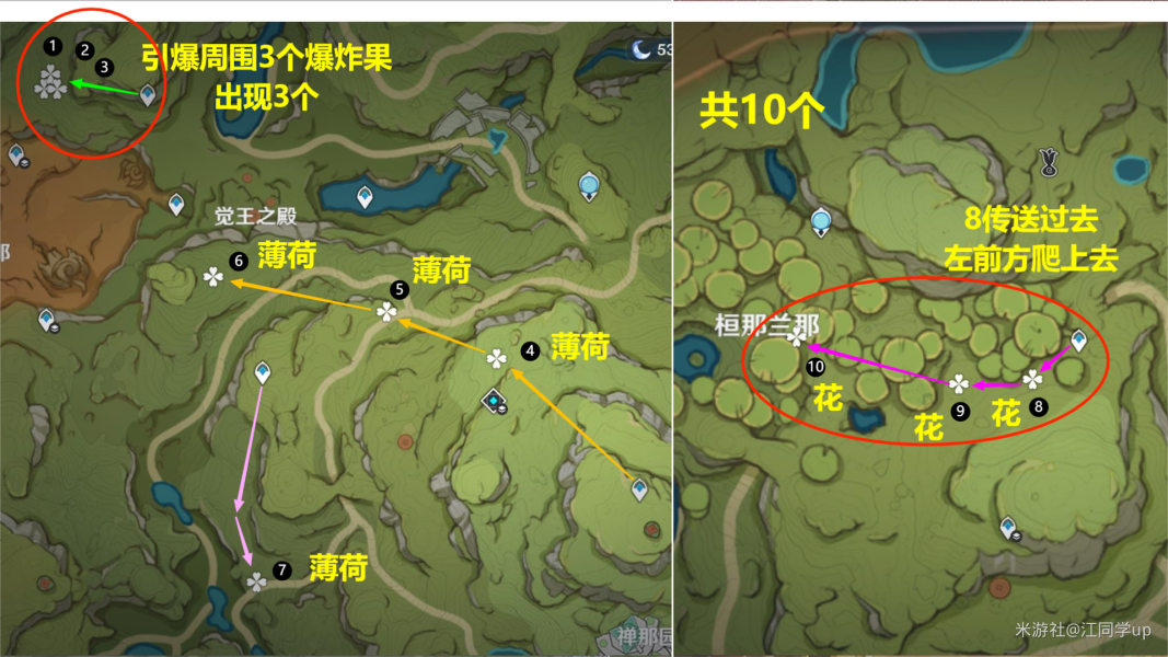 原神騙騙花最新採集路線匯總