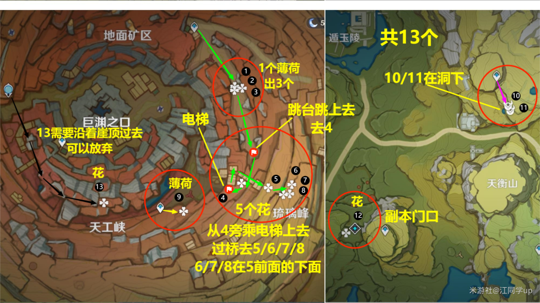 原神騙騙花最新採集路線匯總