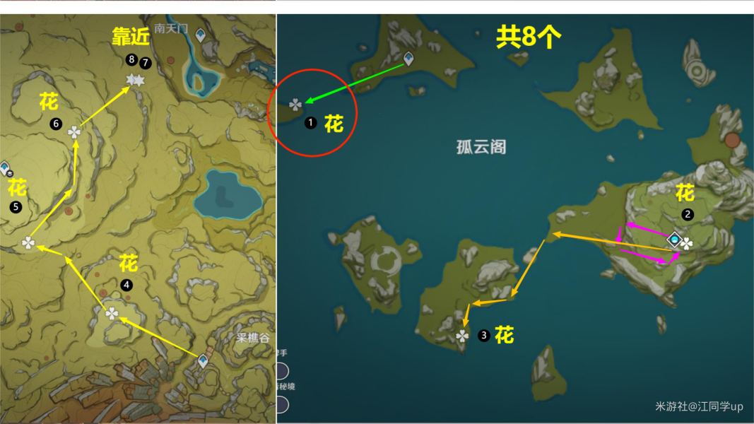 原神騙騙花最新採集路線匯總