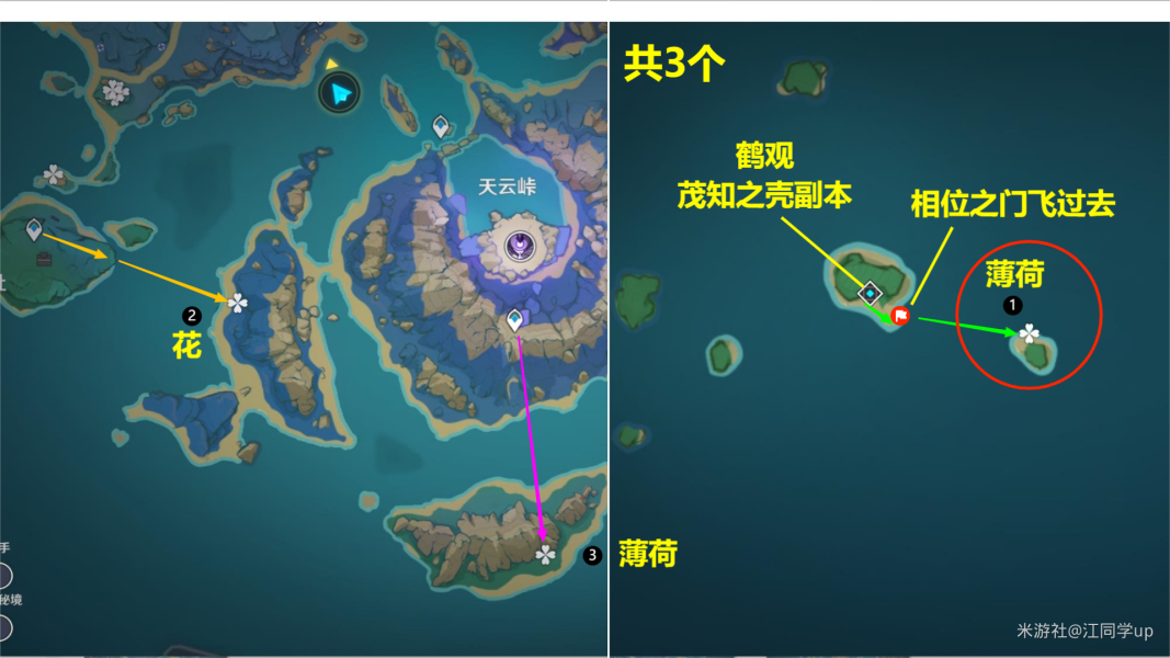 原神騙騙花最新採集路線匯總