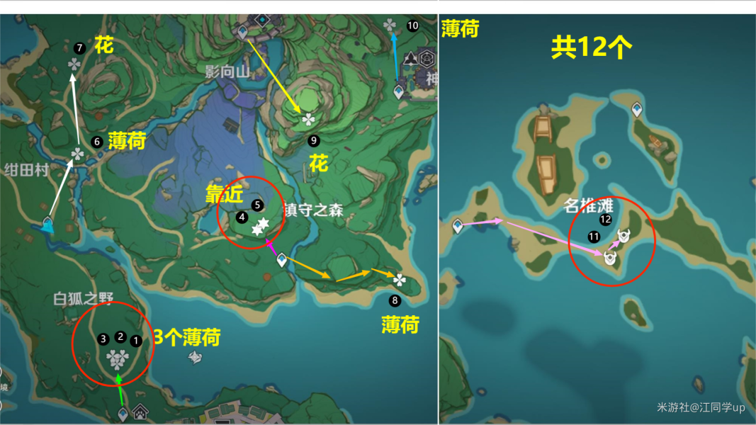 原神騙騙花最新採集路線匯總
