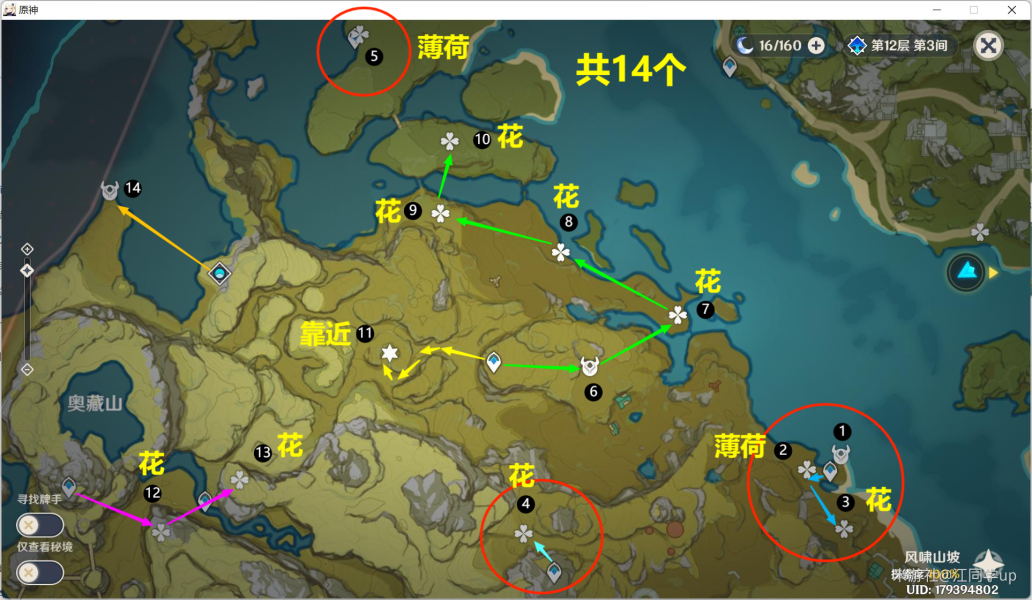 原神騙騙花最新採集路線匯總