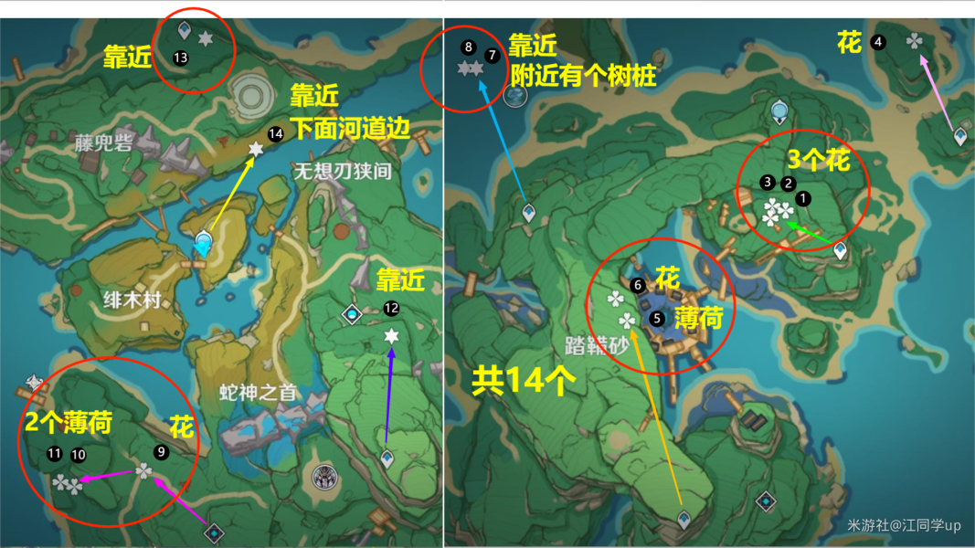 原神騙騙花最新採集路線匯總