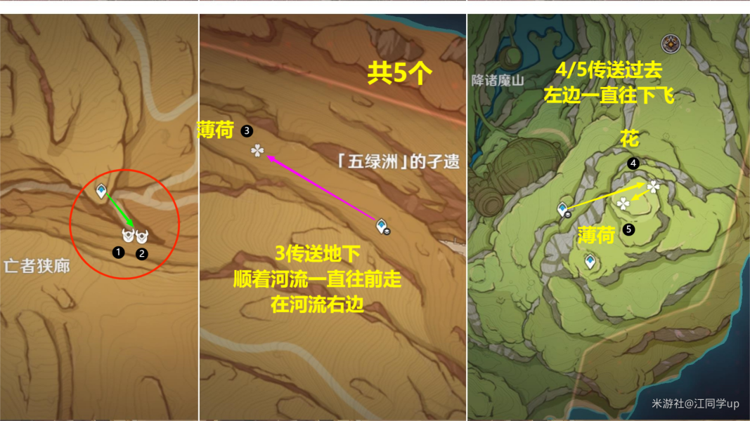 原神騙騙花最新採集路線匯總