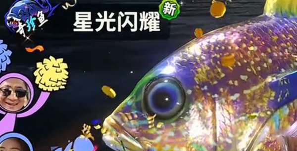 歡樂釣王傳奇|稀有魚類排行榜一覽