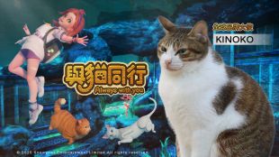 《與貓同行》全球品牌大使亮相 辦公室真貓KINOKO出任