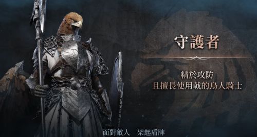 《艾爾登法環:黑夜君臨》守護者定位 守護者最強玩法