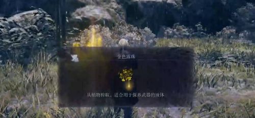 《艾爾登法環黑夜君臨》女爵劇情任務1流程攻略