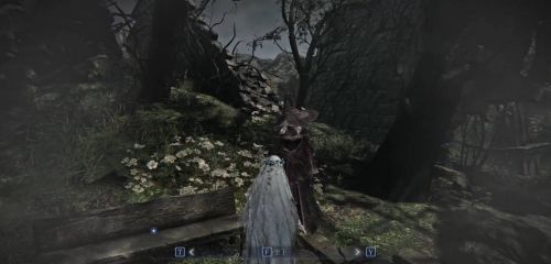 《艾爾登法環黑夜君臨》複仇者劇情任務3流程攻略