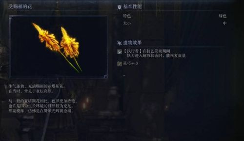 《艾爾登法環黑夜君臨》執行者劇情任務1流程攻略